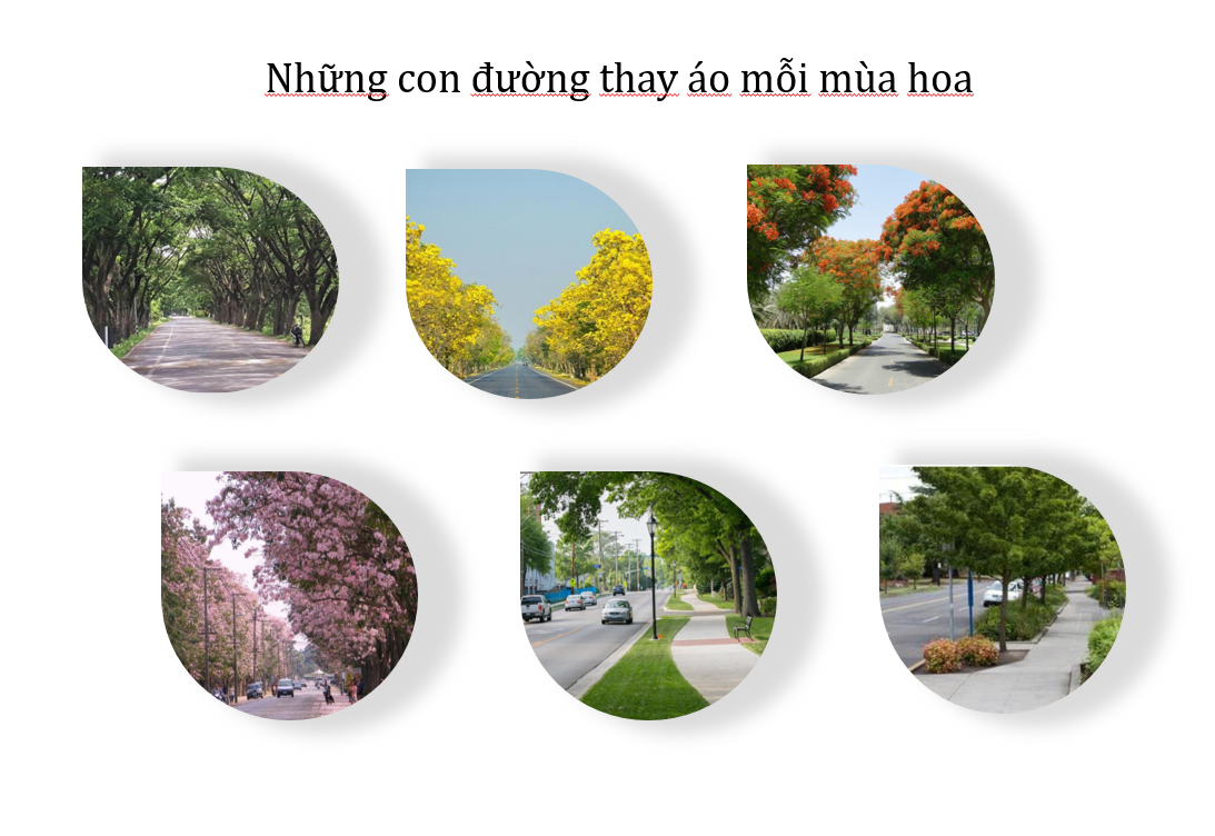 Các loại hoa theo phân khu dự án ID Junction